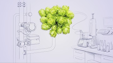 How to complete your beer analysis