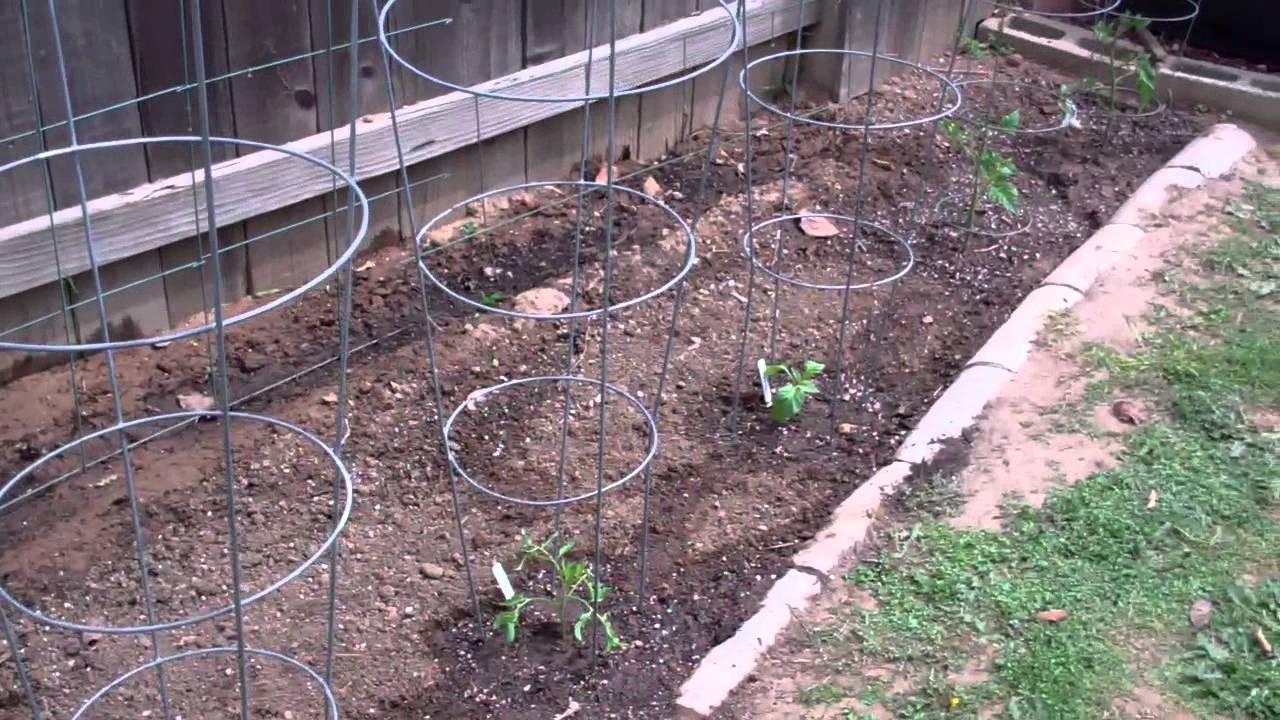 Growing Zone 10b March 20 2013 YouTube growing-zone-10b-march-20-2013-youtube