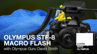 STF-8 Macro Flash with David Smith