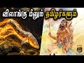 Eel fish and tamils     the lost continent  kumarikandam  10 