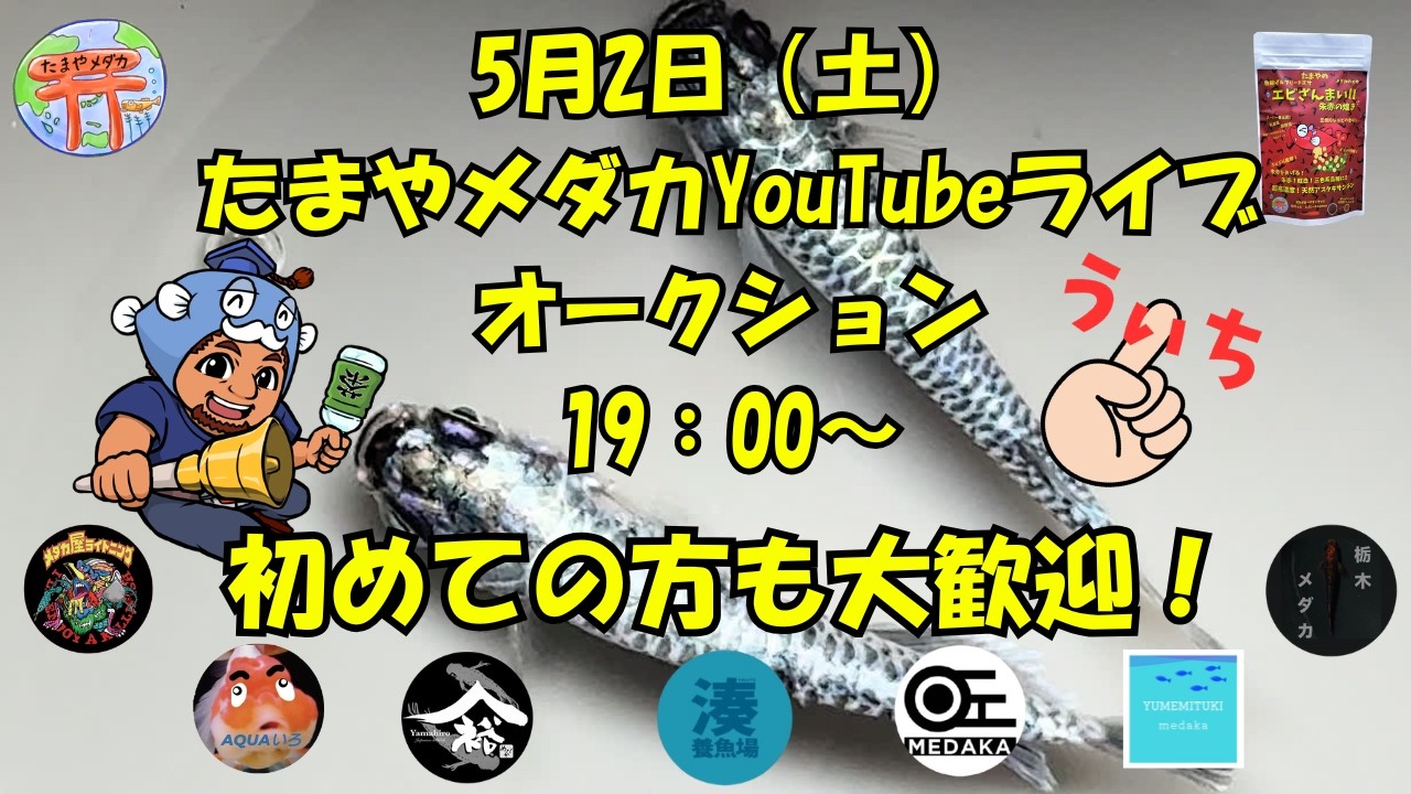 ライブオークション 5月2日 - YouTube