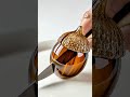 Corte Satisfactorio de Bellota con Cuchillo 🔪✨ Sonido ASMR Relajante
