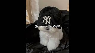 The Hills-The Weeknd(speed up)