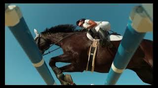 No copyright video, Copyright free template, 3D Graphics Template | Horse jumping template