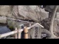 【神社仏閣巡り】 白鳥神社 鯨石の噴水ってなんだ! 東御市