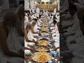 Ramadan Mubarak 2026 Iftar Party Makkah Haji #foryou #ramadan #shorts