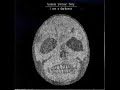 Bonnie 'Prince' Billy - I See a Darkness