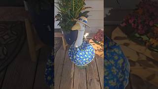 Penny's the Porch Goose's new dress! 4/21/2025