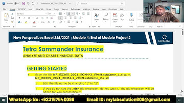 Excel module 4 sam end of module project 1 tetra sammander insurance