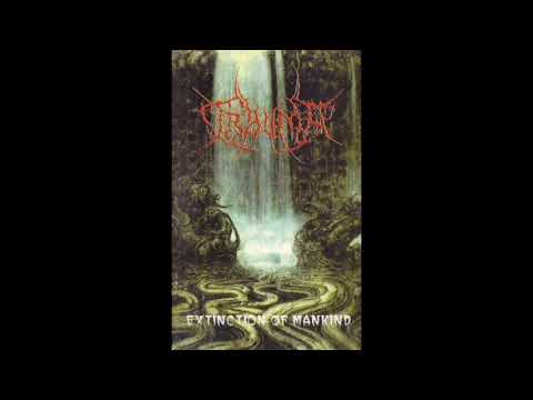 Putar Fallen in Decay - Trauma