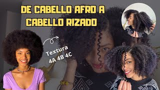 Cómo definir el cabello AFRO tipo 4 | Amarás está técnica | #twist #afrohair #cabelloafro #peloafro