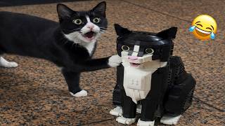 You Laugh You Lose 😹 Funniest Cats 2026 🤣