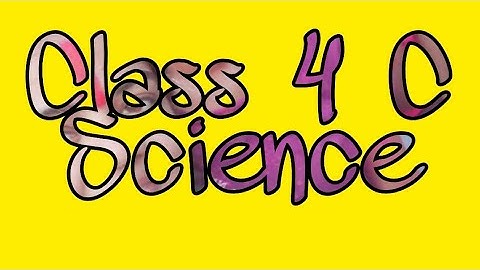 class 4th C Science chapter 3 The digestive and Excretory systems session  1