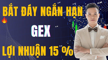 Cổ Phiếu Nào Sẽ Dẫn Dắt Sóng Hồi Khi Thị Trường Tạo Đáy?