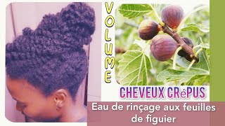 🇨🇮92• EAU DE RINCAGE cheveux crepus feuilles de figuier - VOLUME + POUSSE - HYDRATATION / Valèh Té