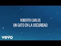 Roberto Carlos - Un Gato en la Oscuridad (Lyric Video)