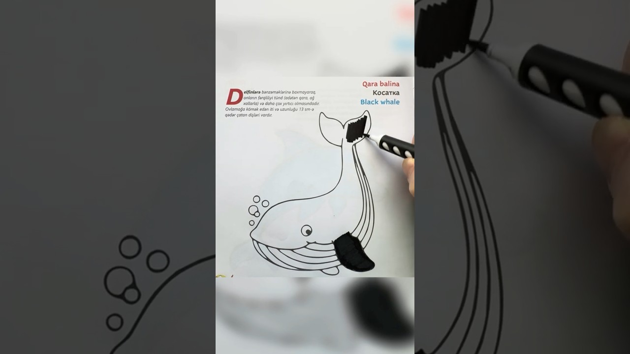 black whale drawing, coloring and painting for kids and toddlers. 🐳