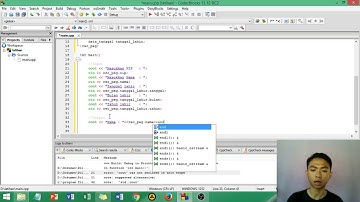 Tutorial Program Struck