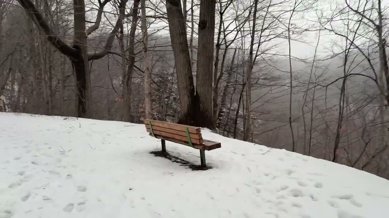 Cold Morning Bench Overlook · Quiet Winter Walk