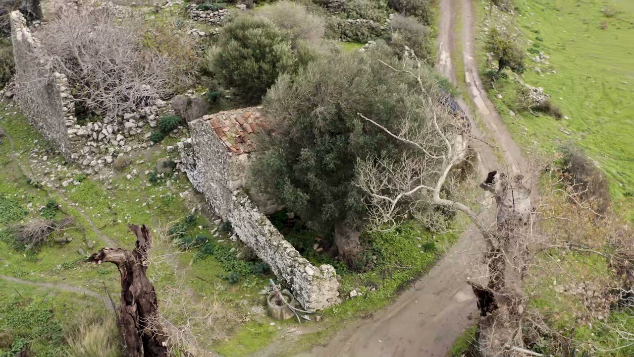 Σμιλές Αμαρίου