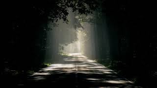 Sergey Nevone Simon O Shine Ethereal Rhapsody SounEmot Bootleg Piano Mix