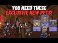 Wizard101 How To Get Every EXCLUSIVE Pupbelly Pet Wizard101 How To Get Every EXCLUSIVE Pupbelly Pet