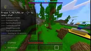 Mineplex Skywars Solo 2 wins