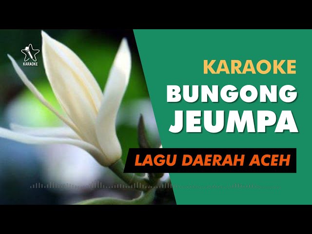 Bungong Jeumpa - Lagu Daerah Aceh (Karaoke) class=