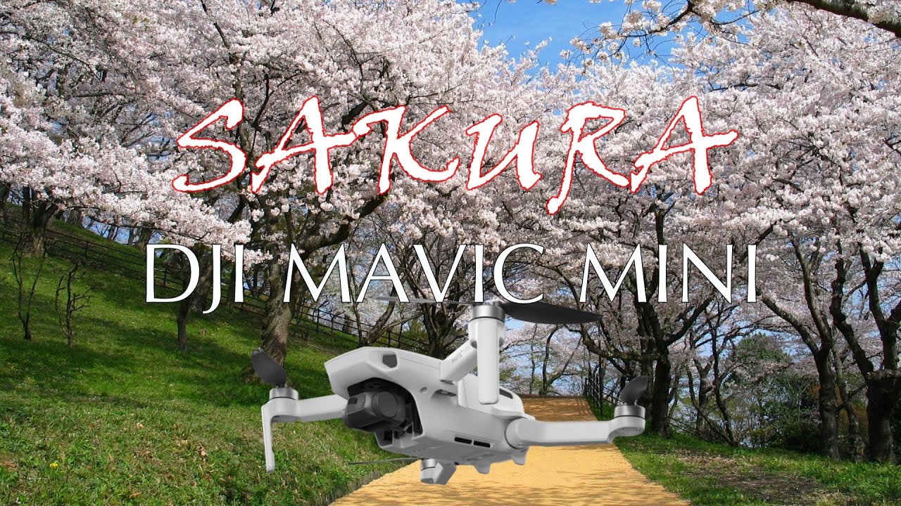 SAKURA JAPAN DJI MAVIC MINI DRONE CINEMATIC FOOTAGE