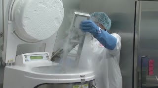 Lab-grown meat could soon be served at restaurants
