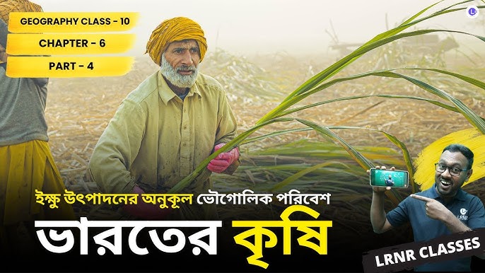 Onlayn porno penetrator