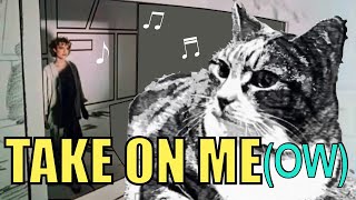 Take On Me parody song by every cat  can you take your kitty on?