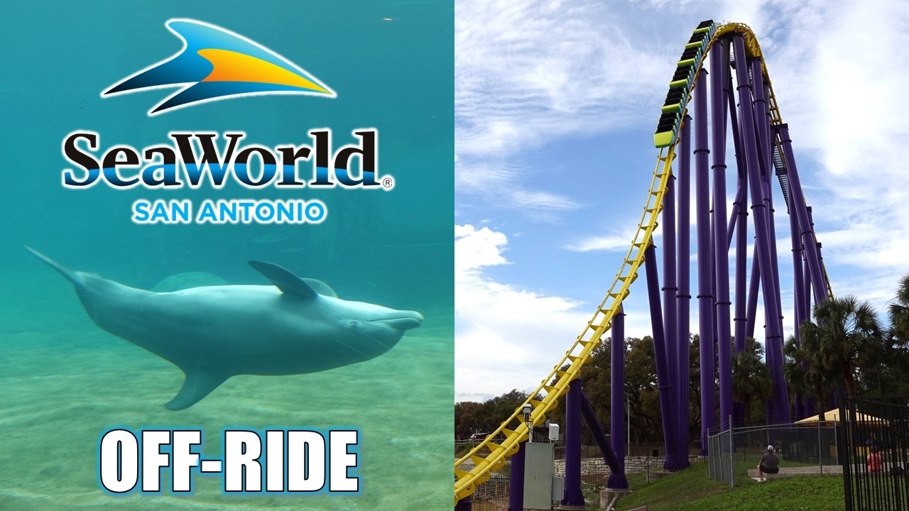 SeaWorld San Antonio viral animal and ride footage photo 2