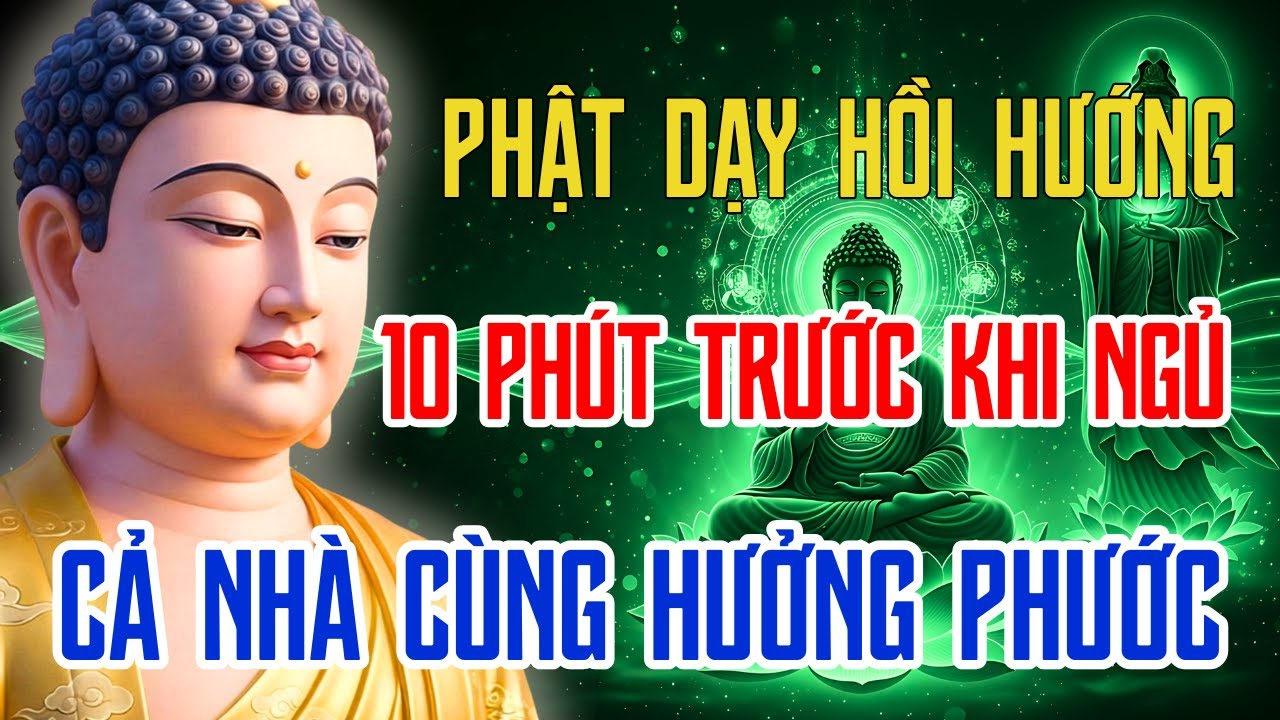 10 Phút Phật Dạy Hồi Hướng Trước Khi Ngủ 🌙 Gieo Phước Lành, Ngủ Yên Tâm An | Phật Pháp Tỉnh Giác