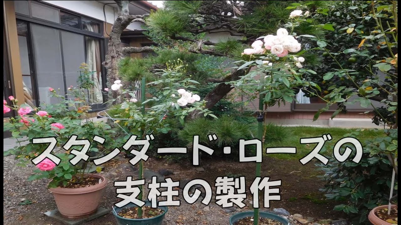 Standard roses and the construction of supports - YouTube