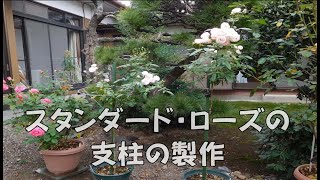 ひ*ろ様 バラ　スタンダード仕立て mqdefault.jpg