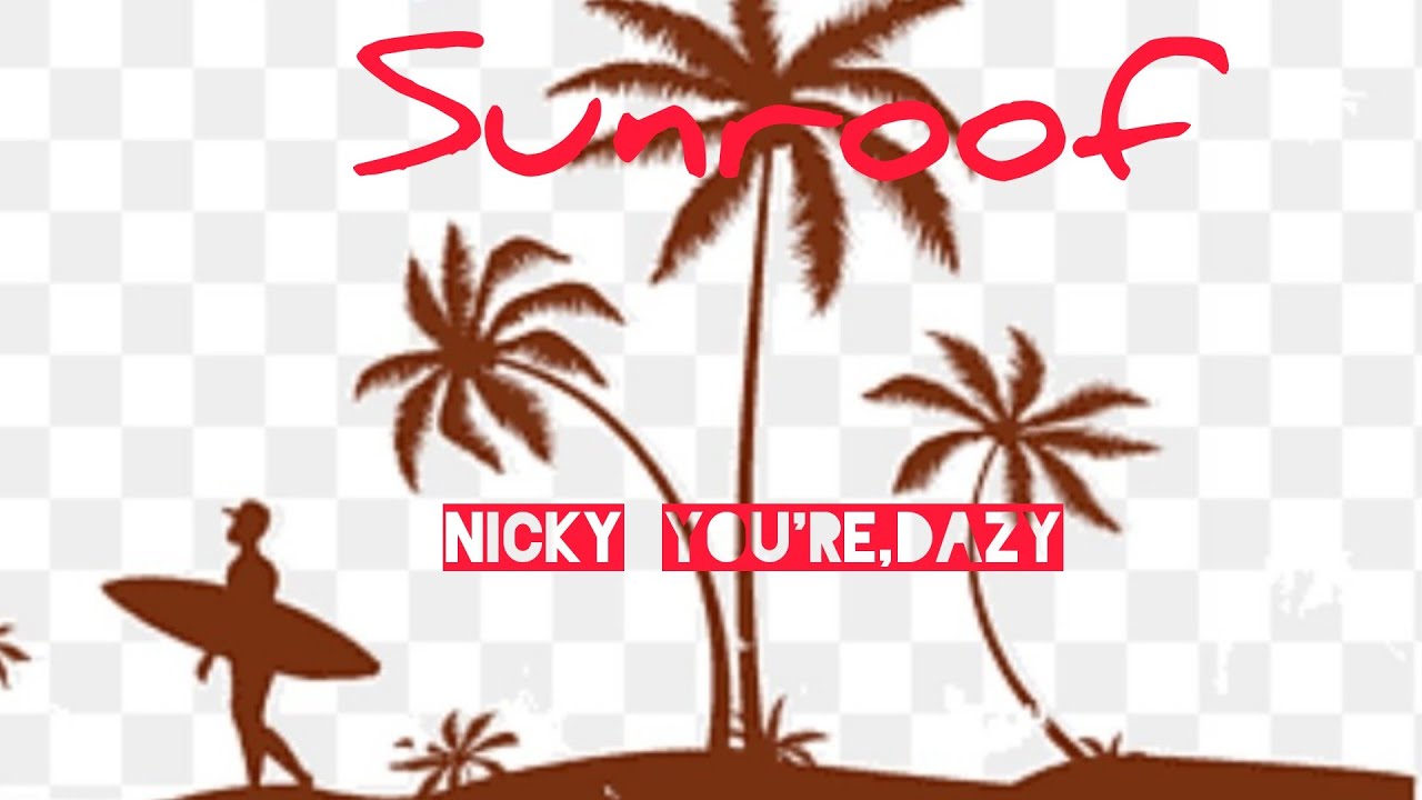 Nicky Youre, dazy Sunroof (Lyrics) I got my head out the sunroof