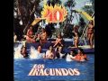 Los Iracundos - 40 Grados