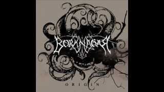 Borknagar - The Spirit Of Nature