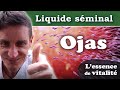 Liquide sminal  ojas  essence de vitalit  liquide cphalo rachidien