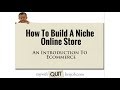 How To Build A Niche Online Store And An Introduction To Ecommerce