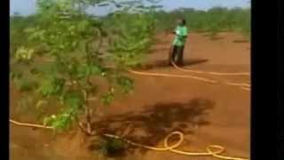 Tractor mounted spraying systems for Moringa   1 mp4