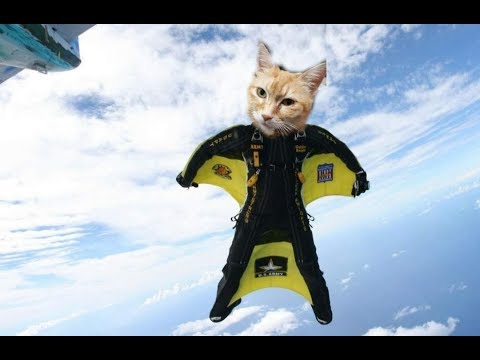 how to add a object in to a photo gimp. face swap gimp