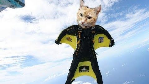 how to add a object in to a photo gimp. face swap gimp