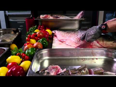 Video: Cum Se Testează Contaminarea Peștelui
