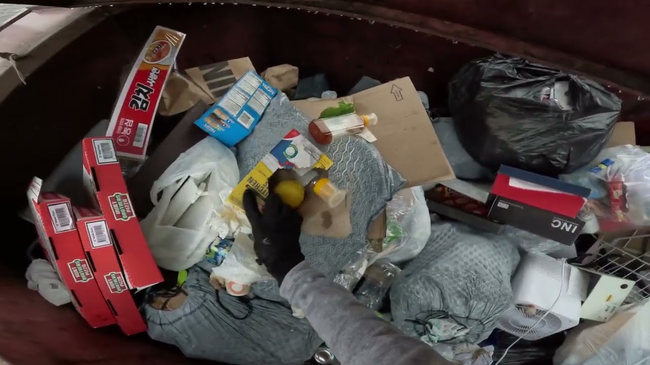 Dumpster diving in Korea 🇰🇷