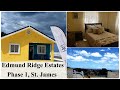Inside a $14M House | Edmund Ridge Estates | Rhyne Park, St. James Jamaica