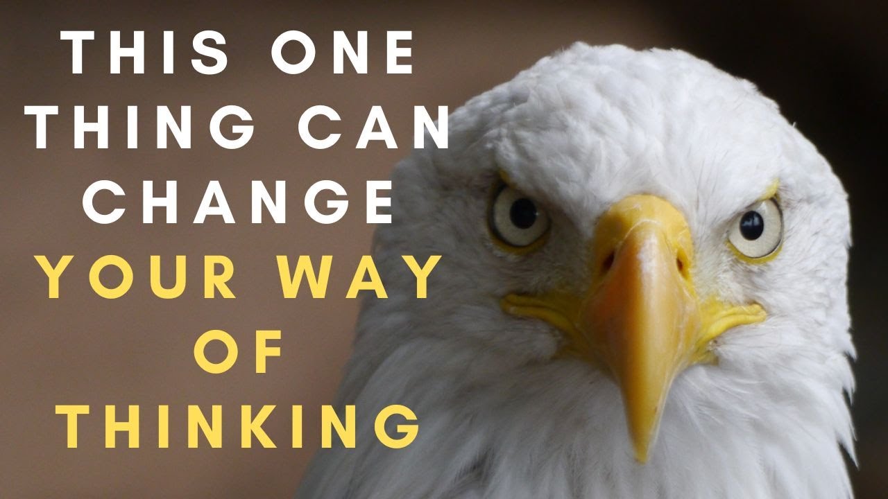 This one thing can change your way of thinking | EAGLE MENTALITY ...