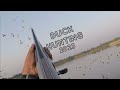 Duck hunting in pakistan  migratory birds hunting l 13