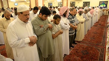 الليلة13|القارئ عبدالبديع محمد غيلان (قراء صلاة التراويح1436هـ)